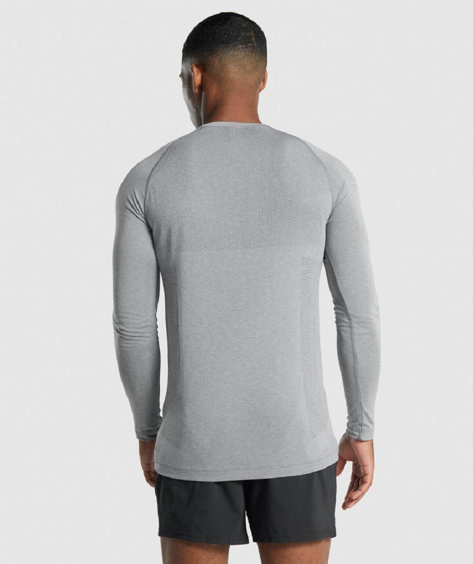 Gymshark Vital Light Seamless Muške Dugi Rukav Sive | HR 2626FDN